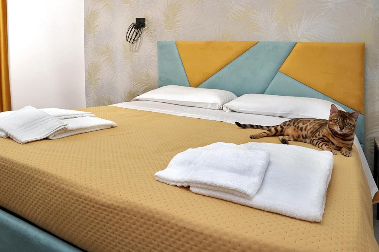 Toc Toc Bed & Breakfast Понтеканяно Екстериор снимка